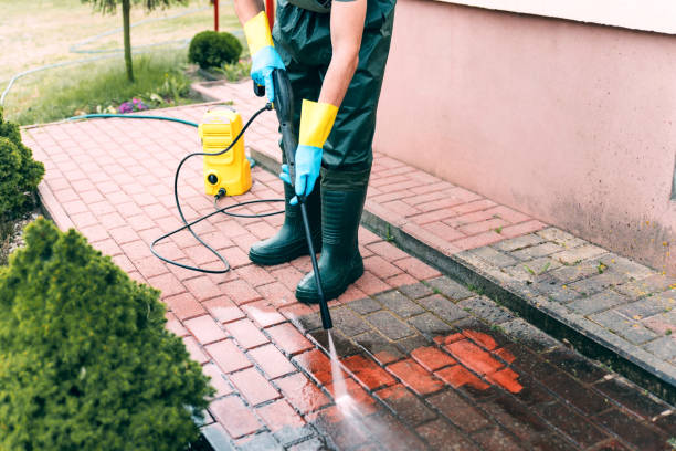 Best Roof Power Washing Services  in Ruhenstroth, NV