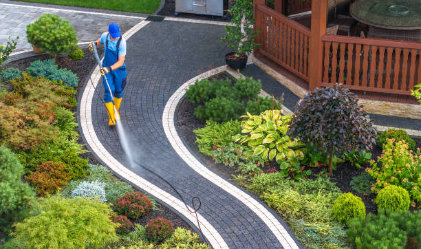 Best Best Pressure Washing Companies  in Ruhenstroth, NV